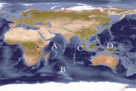 <strong>A negative phase of the Indian Ocean Dipole (IOD)results in warmer than average surface waters at ______ and cooler than average waters at ___________.  </strong> A) A; C B) A; D C) C; A D) C; B <div style=padding-top: 35px> 