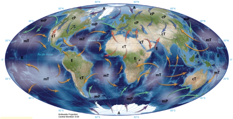 <strong>The mT air masses pictured here originate  </strong> A) over water, are stable, and bring cold air during the summer. B) over water, are unstable, and bring warm air during the winter. C) over land, are stable, and bring cold air during the summer. D) over land, are unstable, and bring warm air during the winter. <div style=padding-top: 35px> 