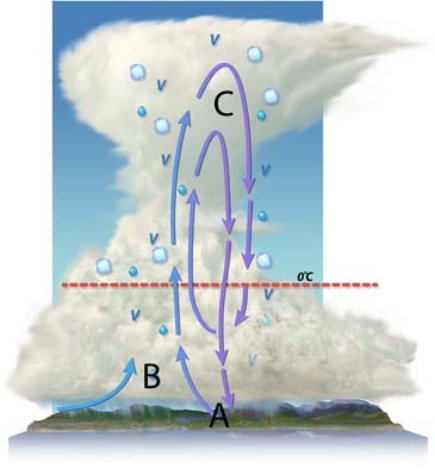 <strong>Where in the cloud is Bergeron process going to be most vigorous?  </strong> A) less developed areas on land B) developed areas along coasts C) developed areas on land <div style=padding-top: 35px> 