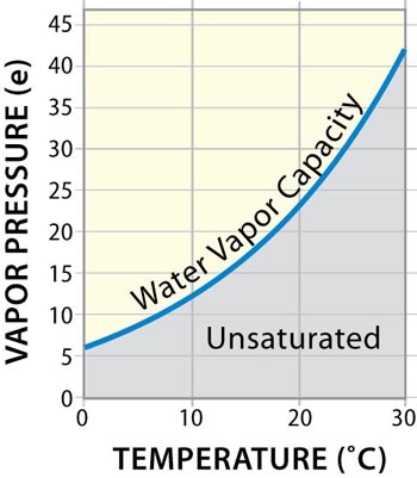 <strong>A parcel of saturated air at 20<font face=symbol></font>C would have approximately _____ times _____ water vapor than saturated air at 0<font face=symbol></font>C.  </strong> A)5; more B)20; more C)5; less D)20; less <div style=padding-top: 35px> 