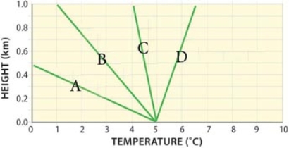 <strong>Which of the following environmental lapse rates represent stable inversion conditions?  </strong> A)A B)B C)C D)D <div style=padding-top: 35px> 