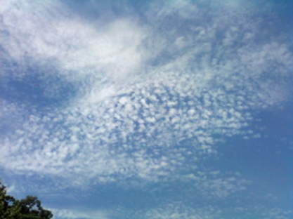 <strong>The high level cloud pictured here consists mainly of ice crystals and is due to convection  </strong> A)cumulonimbus. B)cirrocumulus. C)altocumulus. D)cumulus. <div style=padding-top: 35px> 