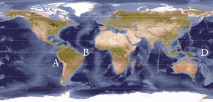 <strong>Which of the following locations would be most prone to an advection fog?  </strong> A)A B)B C)C D)D <div style=padding-top: 35px> 