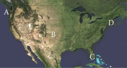 <strong>Which of the following locations has a high incidence of fogs caused by relatively warm, maritime air passing over a cold land surface?  </strong> A)A B)B C)C D)D <div style=padding-top: 35px> 