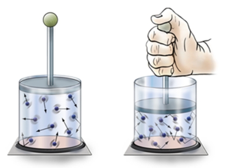 <strong>Pushing down on the sealed glass container causes  </strong> A)increased volume, pressure increases. B)decreased volume, pressure increases. C)decreased volume, pressure decreases. D)increased volume, pressure decreases. <div style=padding-top: 35px> 