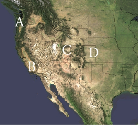 <strong>Which of the following locations has the greatest chance of experiencing Chinook winds?  </strong> A)A B)B C)C D)D <div style=padding-top: 35px> 