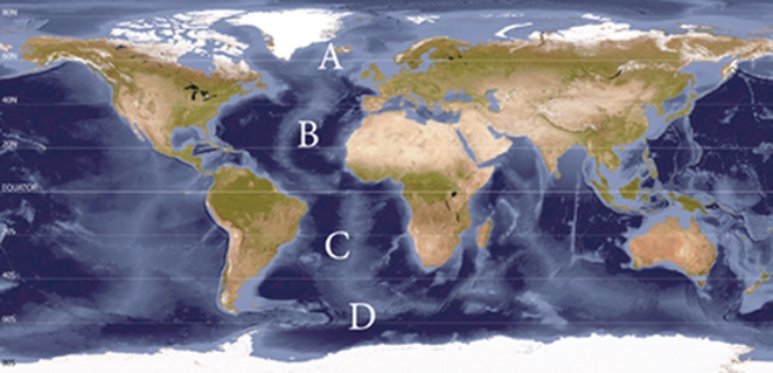 <strong>Which of the following locations experiences the largest continuous belt of strong low pressure?  </strong> A)A B)B C)C D)D <div style=padding-top: 35px> 