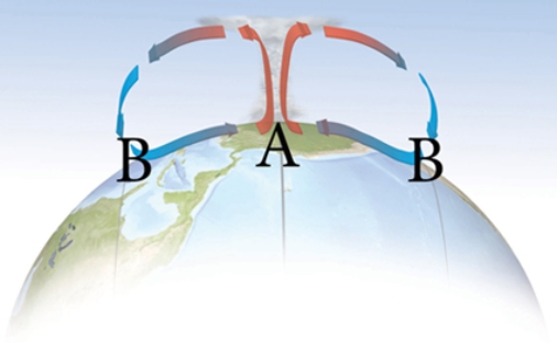 <strong>Which represents the proper pressure cell arrangement for the Hadley Cell?  </strong> A)low pressure at A, high pressure at B B)high pressure at A, low pressure at B C)high pressure at A, high pressure at B D)low pressure at A, low pressure at B <div style=padding-top: 35px> 
