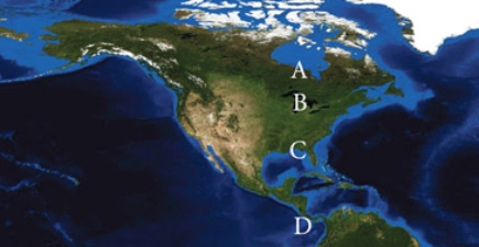 <strong>Which of the following letter combinations best represents the July location of the polar front jet stream and the subtropical jet stream?  </strong> A)A, C B)A, B C)B, C D)B, D <div style=padding-top: 35px> 