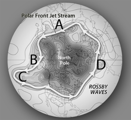 <strong>Which of the following locations shows the best development of a Rossby wave ridge?  </strong> A)A B)B C)C D)D <div style=padding-top: 35px> 