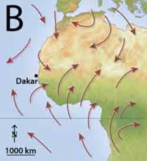 <strong>Which of the following represents the best wind pattern for monsoon precipitation conditions?      </strong> A)A B)B C)C D)none of these choices would bring a maximum for monsoon precipitation <div style=padding-top: 35px> 