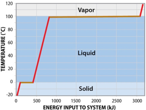 <strong>From this graph, one should conclude that  </strong> A)most of the energy input into the system goes toward changing temperature not changing state. B)most of the energy input into the system goes toward a more ordered, rigid, molecular structure. C)none of these options are correct. D)most of the energy input into the system goes toward changing state, not to change temperature. <div style=padding-top: 35px> 