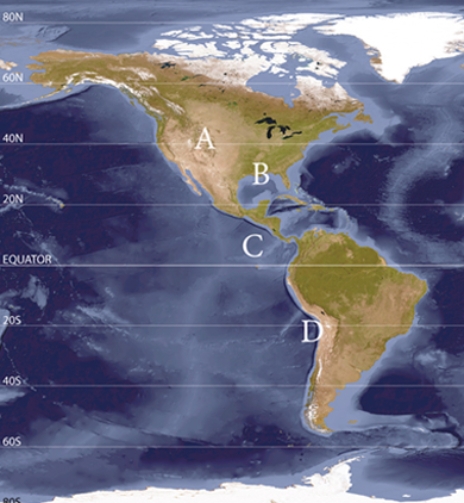 <strong>Where do the highest amounts of insolation reach the surface based on more absorption, and less scattering?  </strong> A)A B)B C)C D)D <div style=padding-top: 35px> 