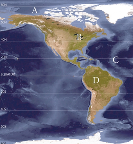 <strong>Where is the least and greatest amount of outgoing longwave radiation (OLR)located?  </strong> A)A & B B)A & C C)A & D D)C & D <div style=padding-top: 35px> 