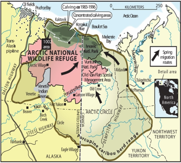 <strong>On the map below, all of the following would be considered interpretations except </strong> A)spring migration routes. B)Ivvavic National Park. C)concentrated calving areas. D)porcupine caribou herd range.