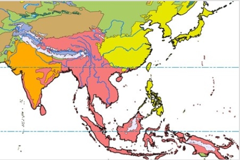 <strong>In the map below,pink represents  </strong> A)subtropical scrub and woodland. B)desert. C)rain forest. D)grassland. <div style=padding-top: 35px> 