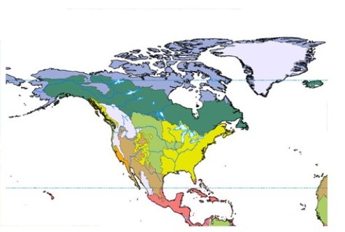 <strong>In the map below,lavender represents  </strong> A)temperate forest. B)tundra. C)boreal forest. D)grassland. <div style=padding-top: 35px> 
