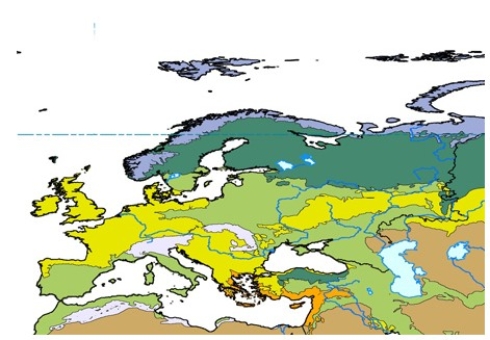 <strong>In the map below,yellow represents  </strong> A)temperate forest. B)tundra. C)boreal forest. D)grassland. <div style=padding-top: 35px> 