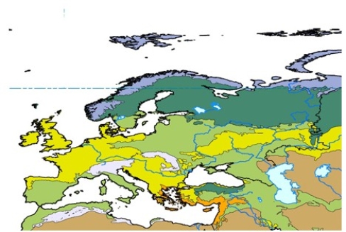 <strong>Which of the following is true about biomes in general?  </strong> A)Because evolution occurs over millions of years,the boundaries between biomes can be considered to be static over our lifetimes. B)Biome boundaries are abrupt,with very distinct differences in appearance from one side of the line to another. C)Biogeographers disagree on how many biomes there are and which types of landscapes should be considered part of the same biome. D)Biomes only exist over land areas. <div style=padding-top: 35px> 