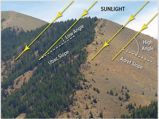 <strong>If the diagram below is in the Northern Hemisphere outside of the tropics,the left side of the diagram is  </strong> A)north. B)south. C)east. D)west. <div style=padding-top: 35px> 