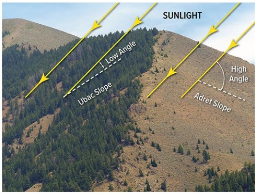 <strong>In the diagram below,  </strong> A)the snow line will be higher on the right slope than the left slope. B)the tree line will be higher on the right slope than the left slope. C)the left slope will have more soil moisture than the right slope. D)All of these are correct. <div style=padding-top: 35px> 