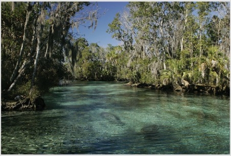 <strong>Organisms that live in estuaries like the one pictured below must be able to  </strong> A)survive for part of their life in a lentic system and the other part of their life in a lotic system. B)tolerate a wide range of salinities. C)survive in both the epipelagic and hadal zones. D)derive energy when living near deep-sea thermal vents. <div style=padding-top: 35px> 