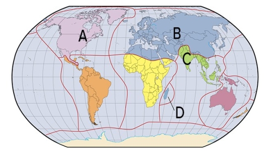 <strong>In which region in the map below are fauna similar even across islands because the areas within that region were once together as part of Gondwana?  </strong> A)A B)B C)C D)D <div style=padding-top: 35px> 
