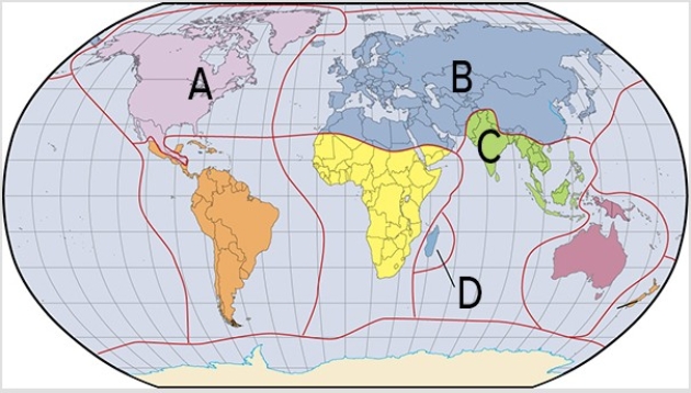 <strong>Which of the labels in the map below is characterized by limited richness and biodiversity,other than fishes and reptiles,but with endemic canine-type animals,horses,and raccoons?  </strong> A)A B)B C)C D)D <div style=padding-top: 35px> 