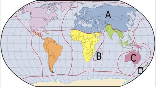 <strong>Which of the labels in the map below is where marsupials contribute to the unique fauna?  </strong> A)A B)B C)C D)D <div style=padding-top: 35px> 