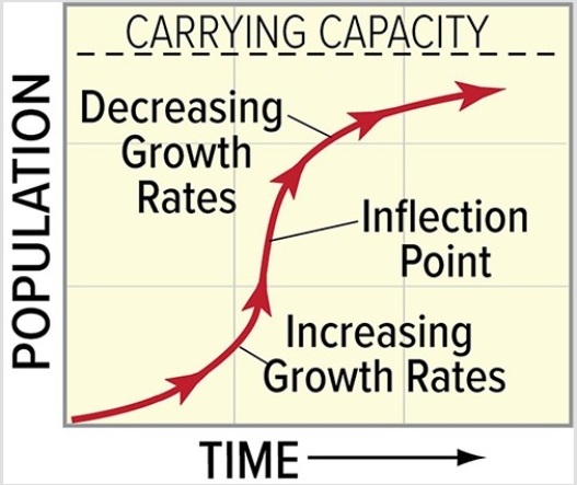 <strong>In the diagram below,the population growth rate begins to decline after reaching the inflection point most likely because  </strong> A)a new keystone predator has been introduced to the ecosystem. B)the ecosystem's limited resources begin to have an impact on the population. C)the species in the ecosystem evolve from being K-selected to being r-selected. D)a catastrophic event,such as a flood or earthquake,disrupts the ecosystem. <div style=padding-top: 35px> 