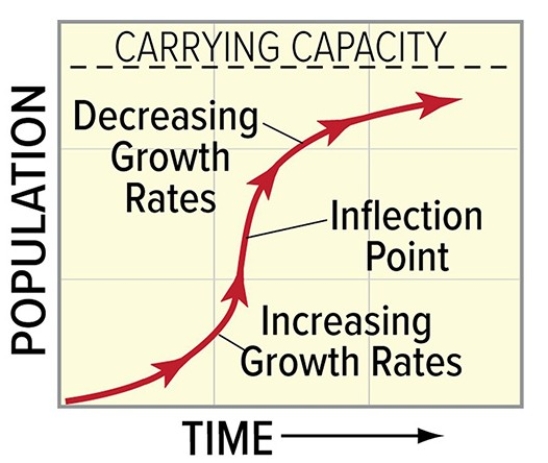 <strong>In the diagram below,the dashed horizontal line represents the exponential growth coefficient  </strong> A)carrying capacity. B)competition level. C)reproduction rate. D)niche level. <div style=padding-top: 35px> 