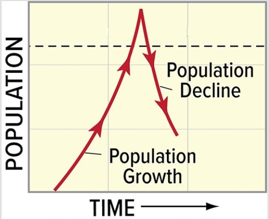 <strong>A likely scenario for causing the population trend shown in the diagram below is  </strong> A)the carrying capacity changed. B)favorable environmental conditions caused a temporary population explosion above the carrying capacity. C)a keystone predator was removed from the ecosystem at the point that the population began to decline. D)primary succession began at the time when the population reached its peak. <div style=padding-top: 35px> 