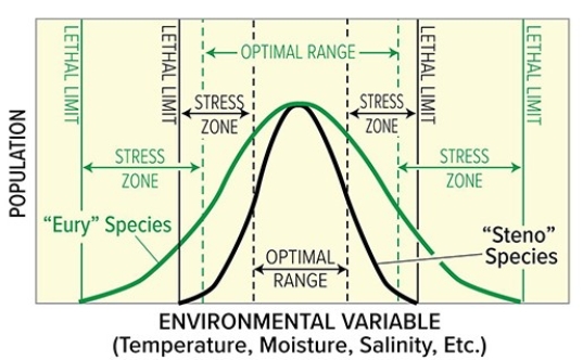 <strong>In the diagram below the steno species is represented by the  </strong> A)green line. B)black line. <div style=padding-top: 35px> 