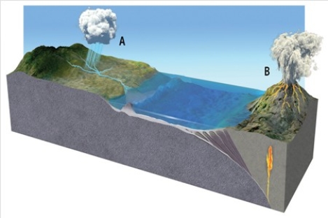 <strong>In the diagram below,the importance of the falling precipitation at A for the global carbon cycle is that  </strong> A)the falling rain makes carbon in the atmosphere more inert,giving it much greater potential to act as a greenhouse gas and warm the Earth. B)the falling rain brings CaCO₃ which was trapped in the atmosphere to the surface,cooling the Earth. C)the falling rain lubricates the Earth's surface,making crustal deformation more likely,which would bring carbon stored in the lithosphere back up to the atmosphere,warming the Earth. D)CO₂combines with water to form H₂CO₃,removing carbon from the atmosphere and cooling the Earth. <div style=padding-top: 35px> 