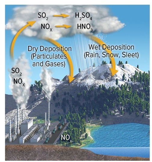 <strong>The diagram below reminds us that NOx reacts with water to produce nitric acid (HNO3),an important component of  </strong> A)global warming. B)El Niño. C)eutrophication. D)acid rain. <div style=padding-top: 35px> 