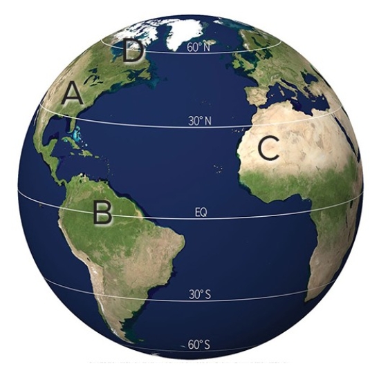 <strong>In the map below,the pedogenic regime known as podzolization would most likely be a factor at </strong> A)A. B)B. C)C. D)D.