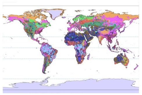 <strong>In the world map below,the purple color represents </strong> A)Gelisols. B)Histosols. C)Entisols. D)Ultisols.