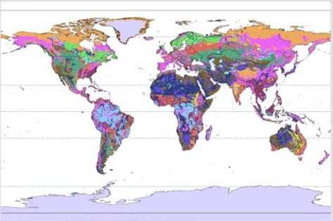 <strong>In the world map below,the color that represents the soil type with the most ideal balance between leaching and retention of nutrients is </strong> A)dark green. B)pink. C)medium blue. D)purple.