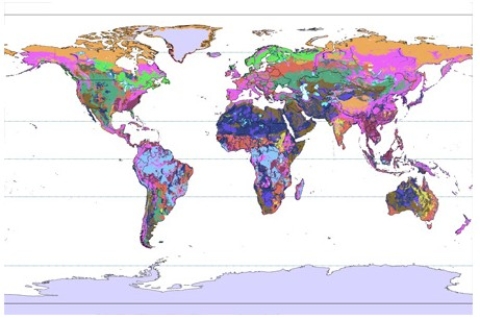 <strong>In which colored area in the world map below has slash and burn agriculture been most prominent in leaving relatively infertile soils beneath the forest exposed? </strong> A)dark green B)light blue C)pink D)purple