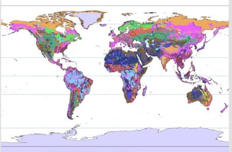 <strong>In the world map below,the color that represents soils that are least mature is </strong> A)pink. B)light green. C)dark green. D)yellow.