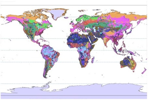 <strong>In the world map below the color that represents soils that swell and shrink excessively is </strong> A)pink. B)light green. C)medium blue. D)purple.