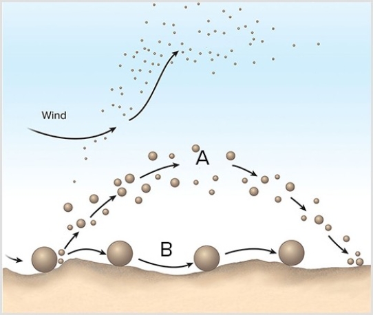 <strong>The wind erosion processes shown at A and B in the diagram below are </strong> A)suspension and saltation. B)saltation and creep. C)drifting and abrasion. D)ablation and plucking.