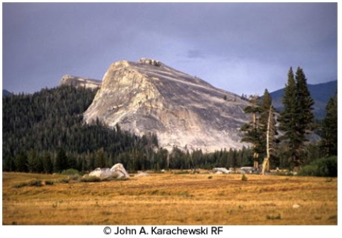 <strong>The feature in the photograph below is a(n) </strong> A)drumlin. B)roche moutonnée. C)esker. D)kame.