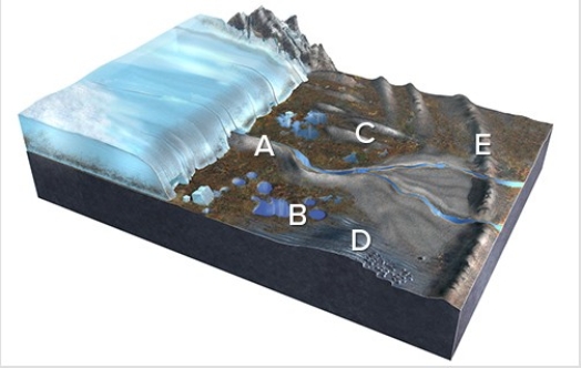 <strong>Which of the features labeled on this figure is an esker? </strong> A)A B)B C)C D)D E)E