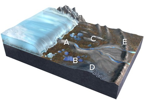 <strong>Which of the features labeled on this figure is a terminal or recessional moraine? </strong> A)A B)B C)C D)D E)E