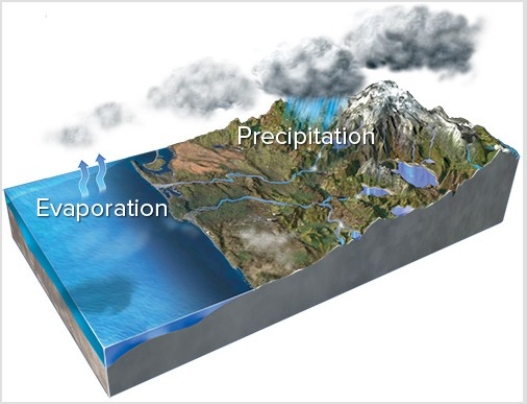 <strong>What happens to different isotopes of oxygen in this figure? </strong> A)Evaporation concentrates lighter isotopes in the resulting water vapor. B)Precipitation forms ice that is enriched in heavier isotopes relative to seawater. C)Melting of ice preferentially releases heavier isotopes back into the ocean. D)All of these are correct.