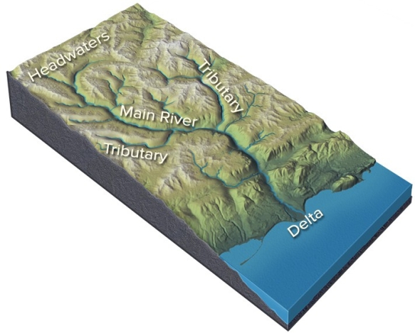 <strong>What happens to a river as it flows through a delta and encounters the sea? </strong> A)The discharge and water velocity increase. B)The maximum sediment grain size carried by the river increases. C)The total sediment load carried by the river decreases. D)All of these are correct.