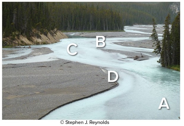 <strong>In the diagram below,the most likely place where sediment will be deposited on the streambed is at </strong> A)A. B)B. C)C. D)D.
