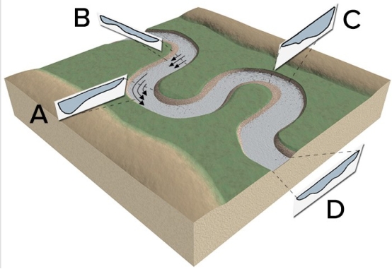 <strong>At which point or points does the current flow fastest in the center of the channel? </strong> A)A B)B C)C D)D