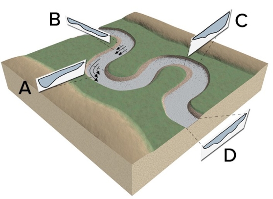 <strong>At what two stream profiles would overall stream velocity be greatest at the center of the profile? </strong> A)A and C B)B and D C)C and D D)D and A